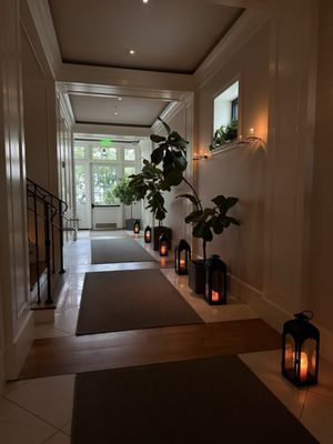 Wild Common by null Wild Common by null