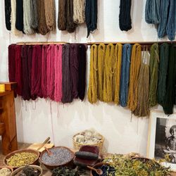 Tierra Antigua - The weavers explain how they use natural elements like plants and flowers to achieve the beautiful colors in their rugs.