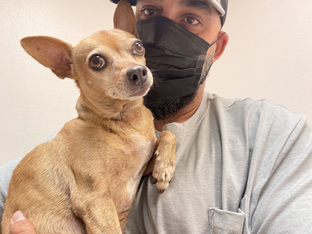 PEDLEY SQUARE VETERINARY CLINIC 19 Photos & 117 Reviews 8822