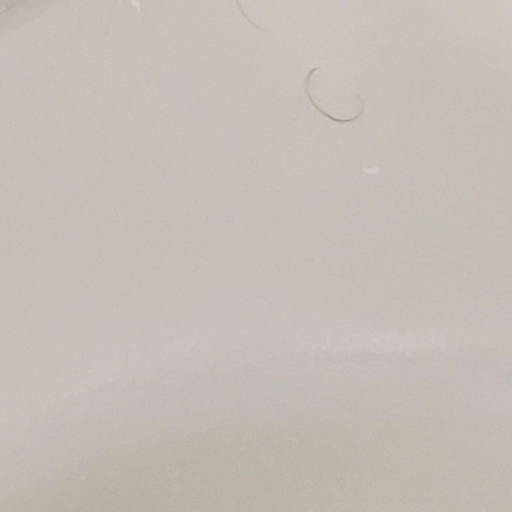 Beach House - Hair in the corner of the tub - Hotels Near Me - Hilton Head, South Carolina