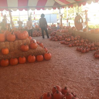 Whittier Pumpkin Patch & Christmas Trees  - Pumpkin Patches Near Me - Whittier, California