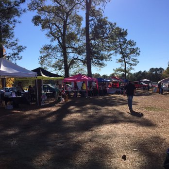A Stroka Gene-Us Alpacas - Alpaca Festival 2016 - Knitting Supplies Near Me - Stringer, Mississippi