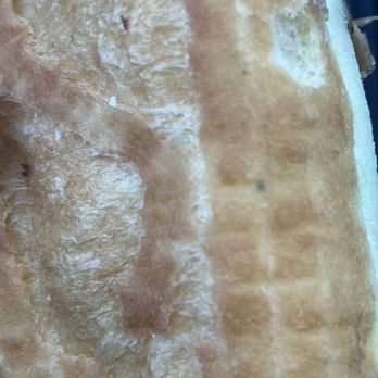 SK Donuts - Mold on back of the Maple Bar - Donuts Near Me - Fresno, California