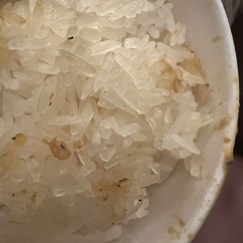 Oceanic Boil - Rice was sitting out a long time probably, it was dry and crispy - Cajun/Creole Near Me - Jackson Heights, New York Oceanic Boil - Rice was sitting out a long time probably, it was dry and crispy - Cajun/Creole Near Me - Jackson Heights, New York