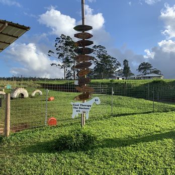 Honomu Goat Dairy - Attraction Farms Near Me - Honomu, Hawaii Honomu Goat Dairy - Attraction Farms Near Me - Honomu, Hawaii