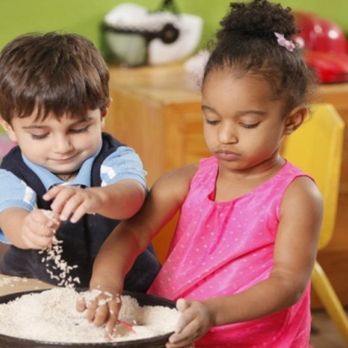 Safari Kid - Preschools Near Me - Fremont, California Safari Kid - Preschools Near Me - Fremont, California