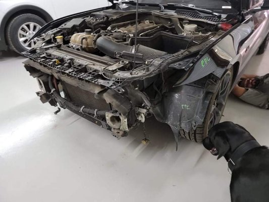 Mustang - This Mustang has collision impact to the front that needed repair.