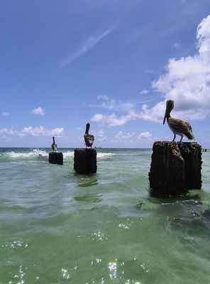 Bal Harbour Beach by null