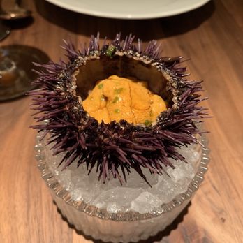 Angler - Sea urchin - Seafood Near Me - San Francisco, California