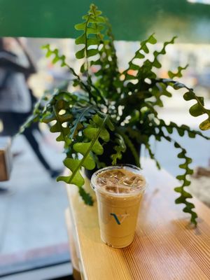 Verve Coffee Roasters by null