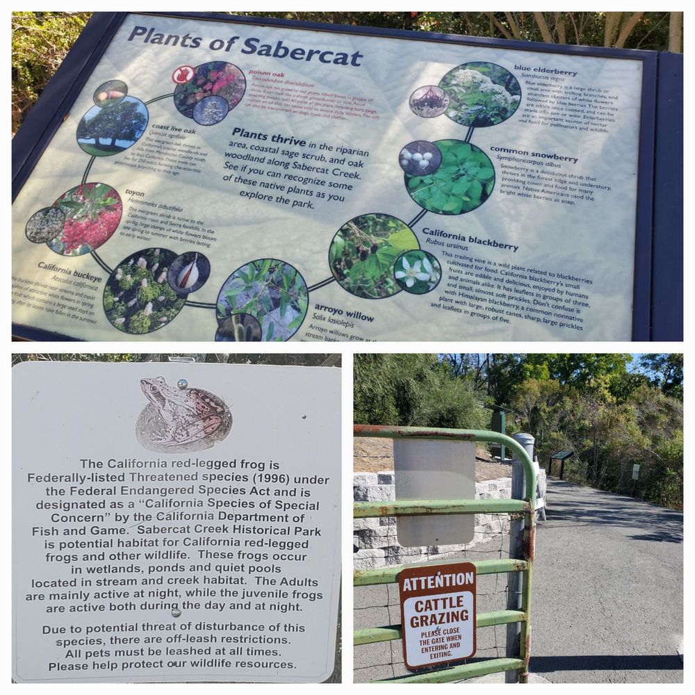 Sabercat Creek Trail - Signs - Parks Near Me - Fremont, California Sabercat Creek Trail - Signs - Parks Near Me - Fremont, California