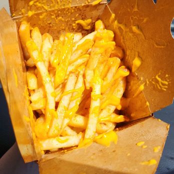 Wacked Out Weiner - Get the seasoned fries (nacho cheese added) - Hot Dogs Near Me - Spring, Texas