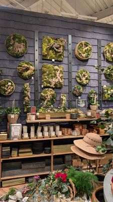 Anthropologie by null