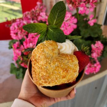 Maple Grove Farm - Shortcake - Bakeries Near Me - Mansfield, Ontario Maple Grove Farm - Shortcake - Bakeries Near Me - Mansfield, Ontario