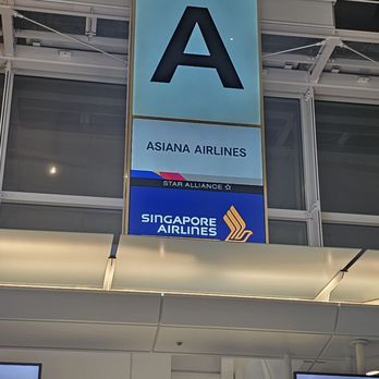 アシアナ航空 - Updated February 2026 - 羽田空港3-3-2, 大田区, 東京