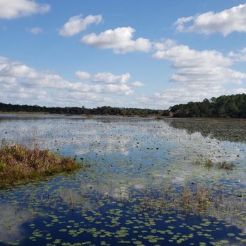 Split Oak Forest - Hiking Near Me - Orlando, Florida