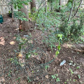 Armando's Tree Service - Removed my garden gate, damaging one section and left the back area littered with water bottles. - Tree Services Near Me
