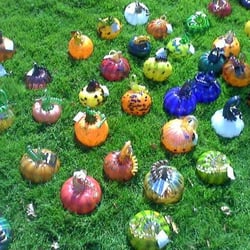 Glass Pumpkin Harvest - Pumpkin Lawn