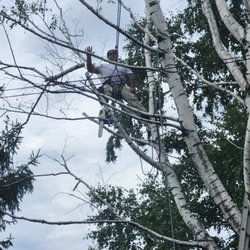 AR Tree Service