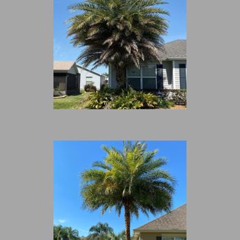 Sumter Scapes - Landscaping Near Me Sumter Scapes - Landscaping Near Me
