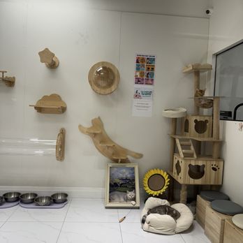 Purrfect Pet Cafe - Pet Adoption Near Me - Vaughan, Ontario Purrfect Pet Cafe - Pet Adoption Near Me - Vaughan, Ontario