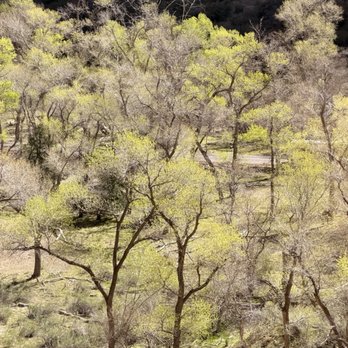 Zion National Park - Parks Near Me Zion National Park - Parks Near Me