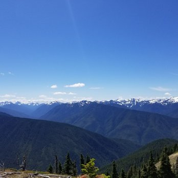 Olympic National Forest - Parks Near Me - Olympia, Washington