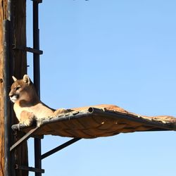 Out of Africa Wildlife Park