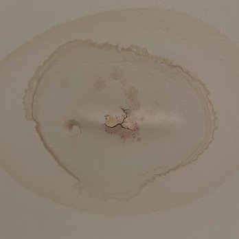 Carolina Home Remodeling - Water damage to the ceiling below the shower. Initially said due to shower leak, then after new install said it was unrelated. - Windows Installation Near Me - Charlotte, North Carolina Carolina Home Remodeling - Water damage to the ceiling below the shower. Initially said due to shower leak, then after new install said it was unrelated. - Windows Installation Near Me - Charlotte, North Carolina