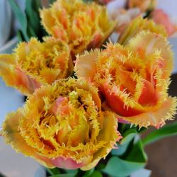 Hilary Horvath Flowers - Always unique & high quality flowers