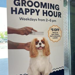Petco Dog Grooming Fees: Uncover Affordable Options
