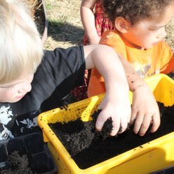 Tadpoles Family Playcare