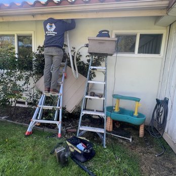MJC Live Bee removal - Smoke machine going. - Pest Control Near Me MJC Live Bee removal - Smoke machine going. - Pest Control Near Me