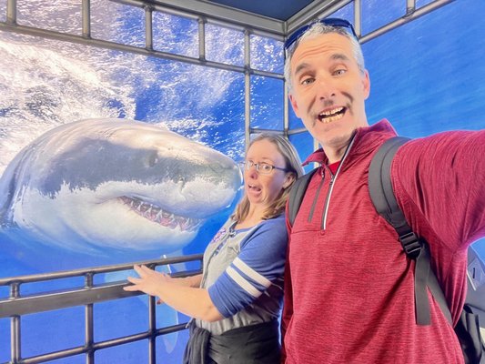 Shark Reef Aquarium at Mandalay Bay by null