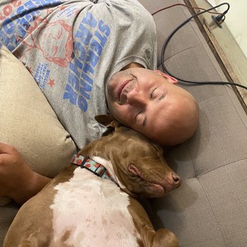 Passion for Pitties - Snuggle bugs - Pet Adoption Near Me