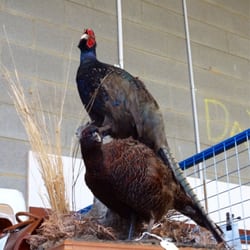 Waverley Antique Bazaar