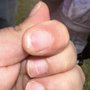 Photo of AJ Nails