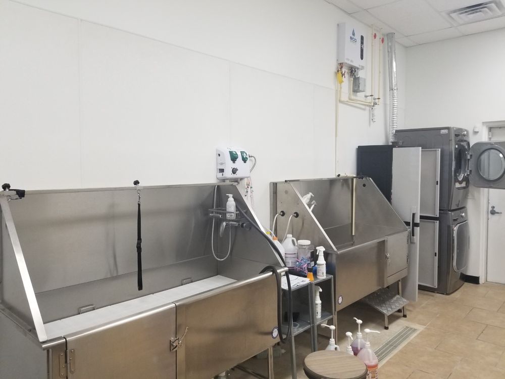 K9 STYLES BY AMBER Updated July 2024 32 Photos 2571 Cowan Blvd