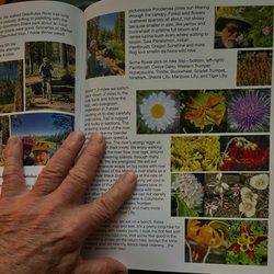 user provided Copyman photo