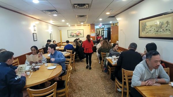 Winsor Dim Sum Café by null Winsor Dim Sum Café by null