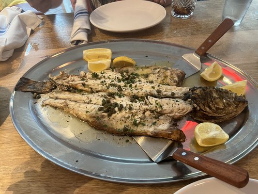 Calista Cafe by null