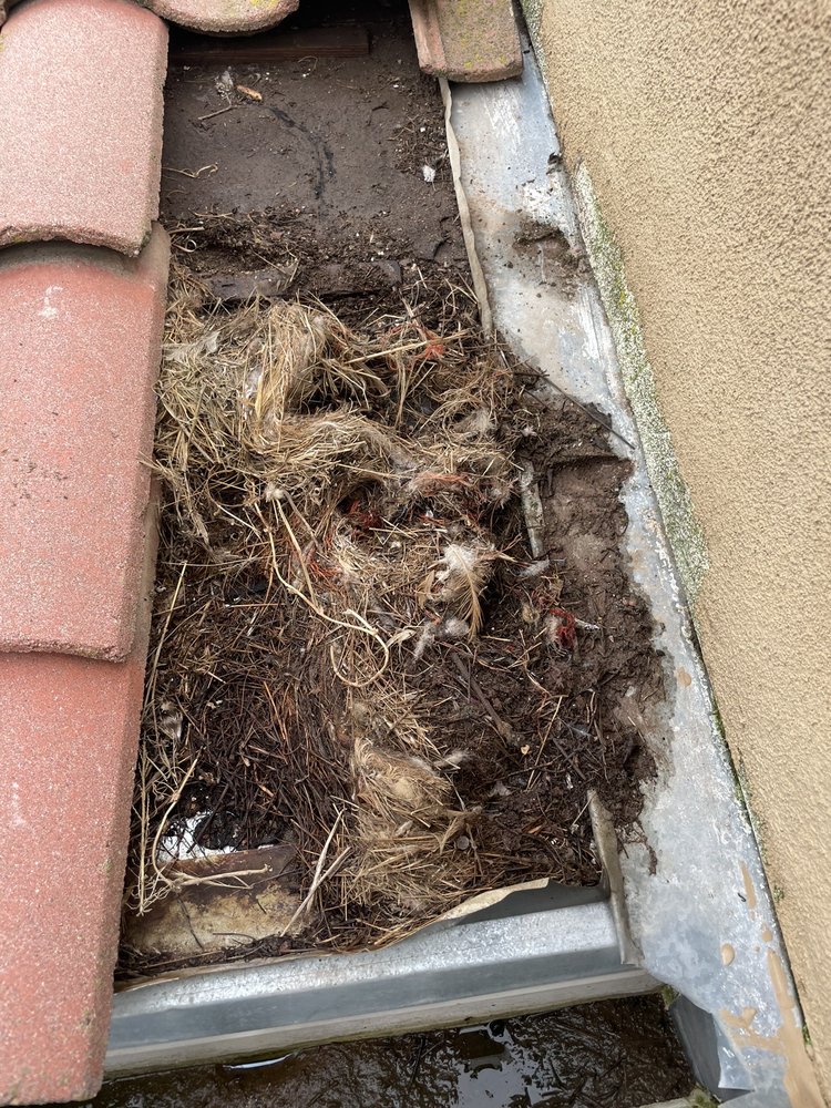 Slide of Rescue Roofer