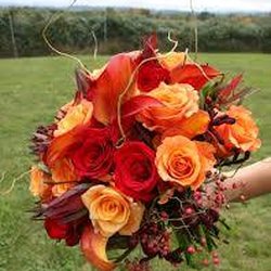 Angels Trumpet Flowers & Gifts