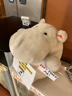 Pastry House Hippo by null