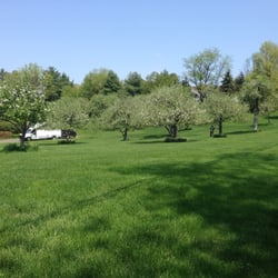 Turning Green