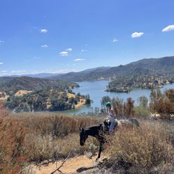 Shangri LA Ranch Horse Rentals