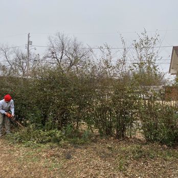 Cherry Pride - Bushes before they were cut by Andrae Cherry. - Lawn Services Near Me
