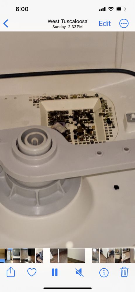 Crimson Student Living - property management company in Tuscaloosa, AL