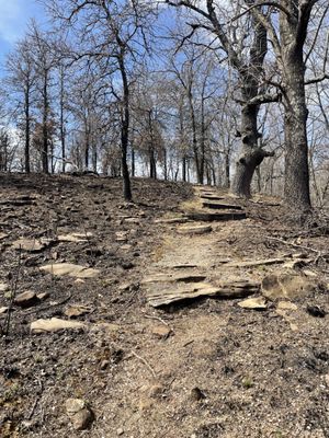 Joseph H. Williams Tallgrass Prairie Preserve by null