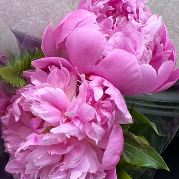 Danas Flower Shop - Peonies - Florists Near Me - Forest Hills, New York